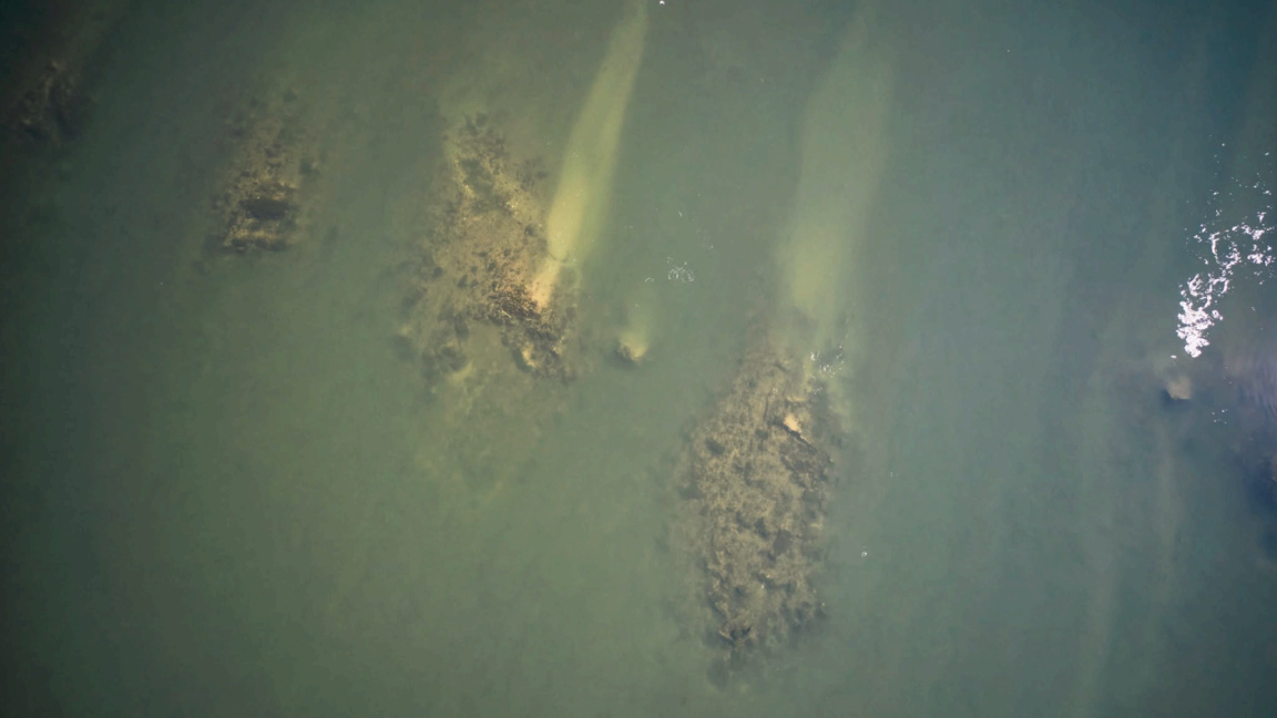 La baisse des eaux du Danube a dégagé les fondations du Pont de Constantin