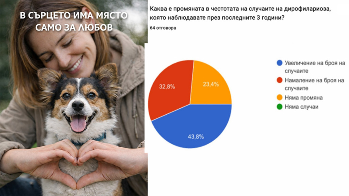 Как да предпазим кучето си от "сърдечен червей"