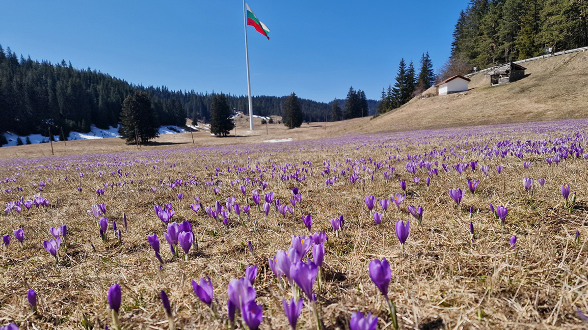 "Неделя у дома" с Латинка Павлова