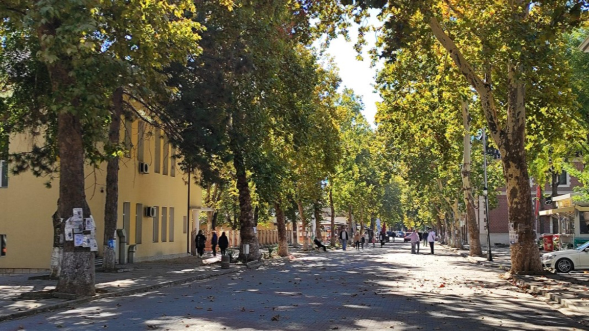 Дулово в изборния ден