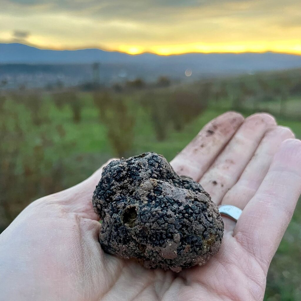 Kejsi nga Nju Jorku që e bëri Bullgarinë shtëpinë e saj