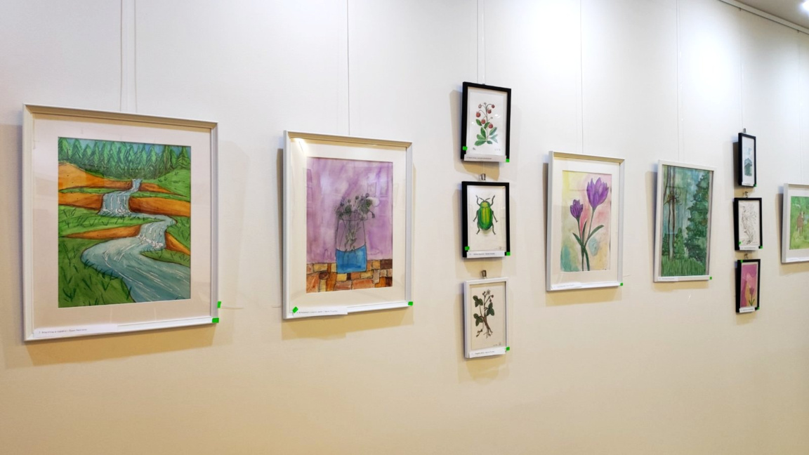 Очарованието на Родопа планина в картини...