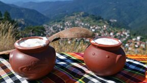 Yogurt Festival in Momchilovtsi: culture, flavor and Rhodope traditions