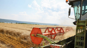 EU genehmigt bulgarische Staatshilfe für Landwirte von 170 Millionen Euro