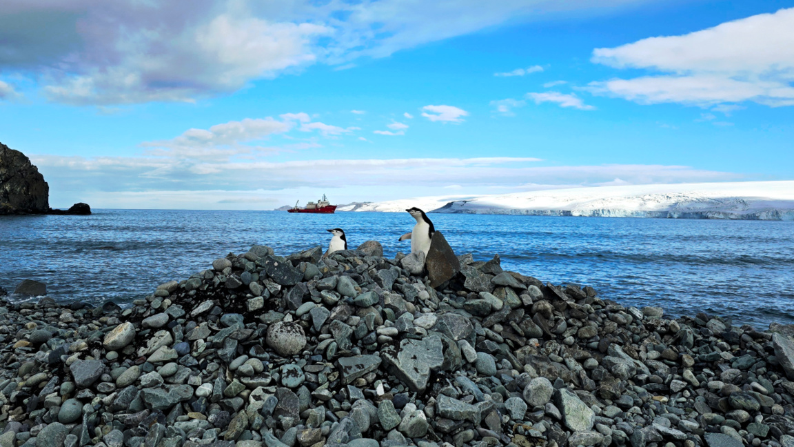 Prof. Hristo Pimpirev: "La 34ª expedición antártica, una de las más exitosas"