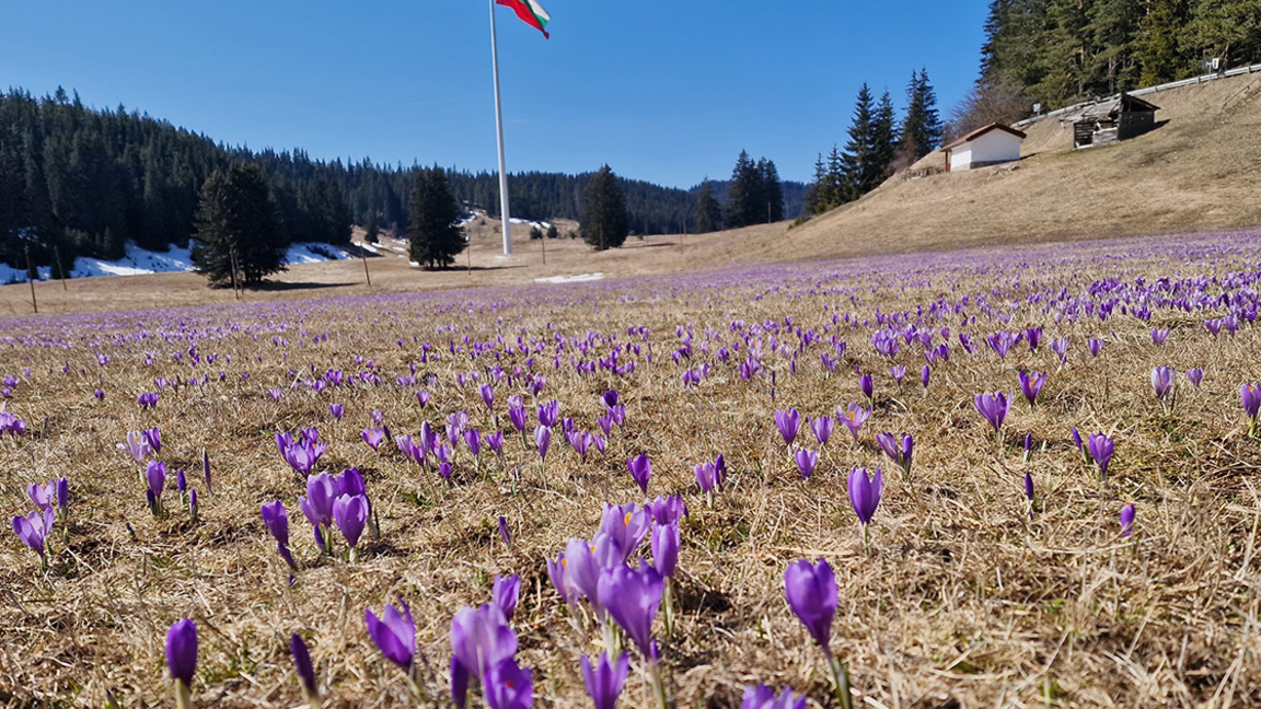 „Посоките на деня“ с Давид Калпачки