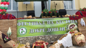 Започна изложението на ястия от кестени в село Коларово 