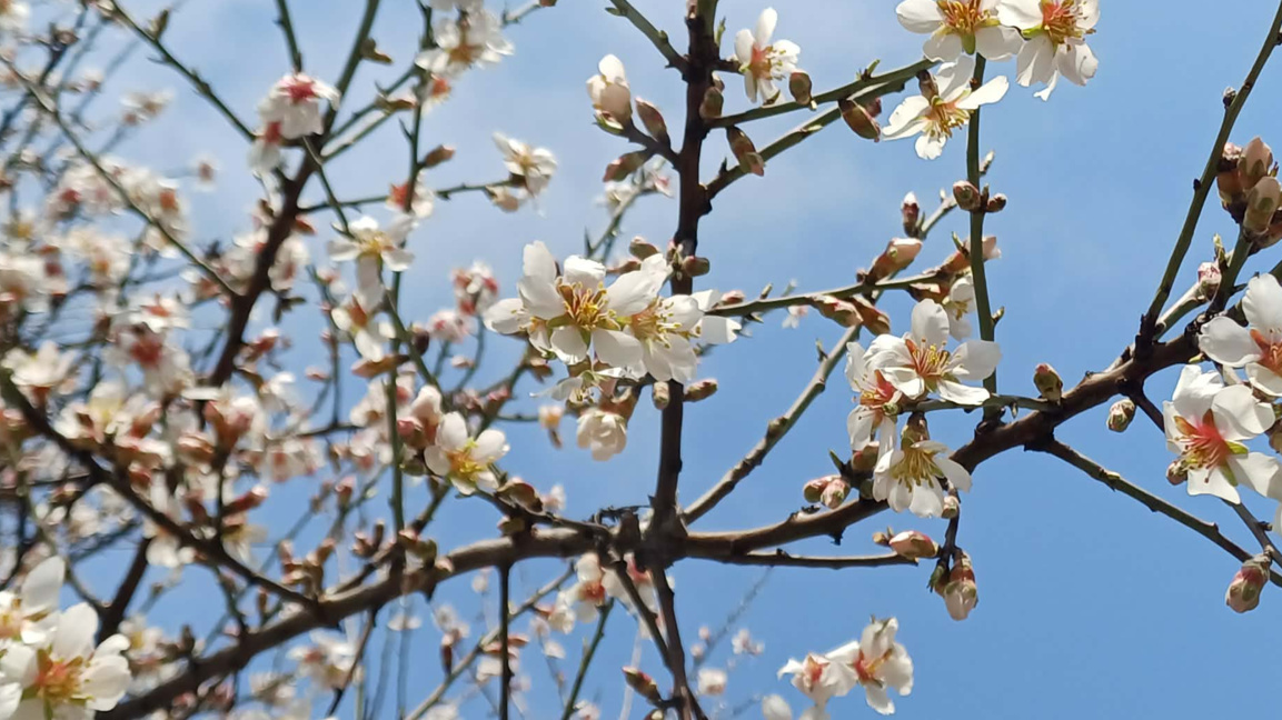 „Посоките на деня“ с Мария Благоева