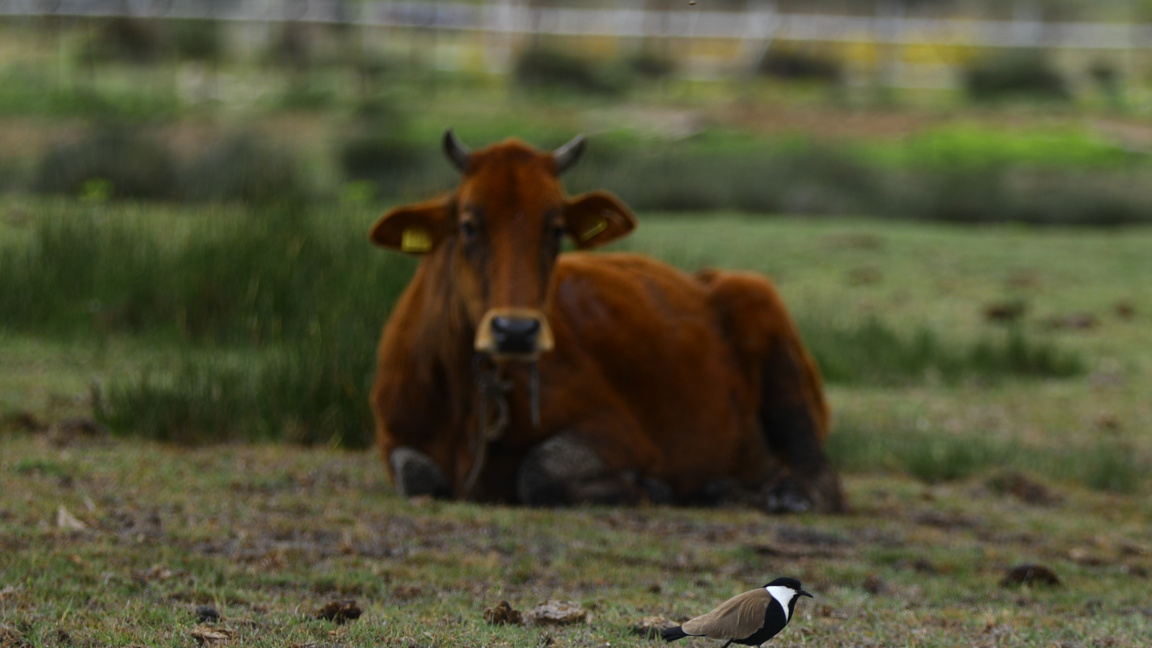 Властите в Кипър ще подпомогнат засегнат...