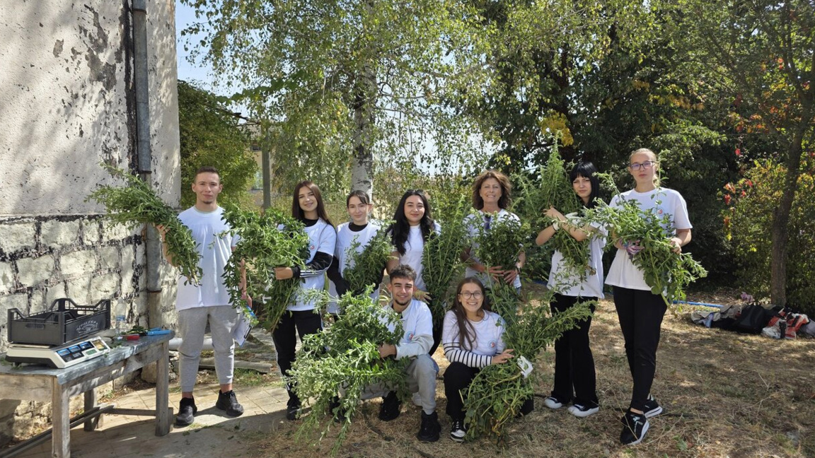 Stevia instead of tobacco – potential alternative for the Eastern Rhodopes
