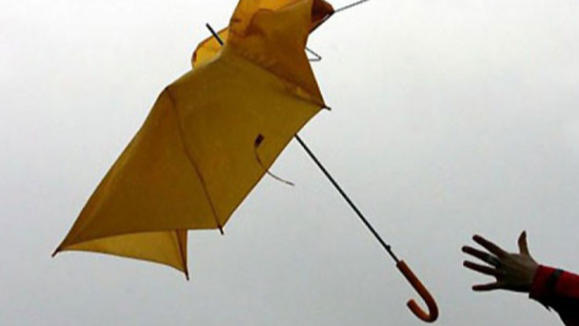 Снимката е илюстративна