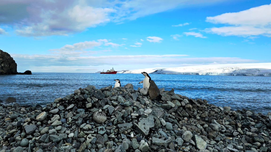 Christo Pimpirev: The 34th Antarctic expedition is one of the most successful
