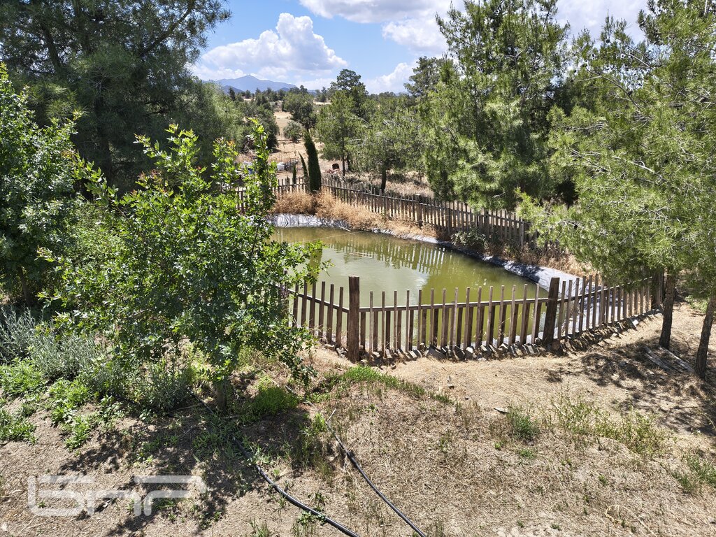 Фермерите в Кипър събират всяка капка вода от дъждовете, за да могат да я използват