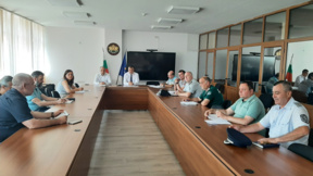 Засилват контрола в Кърджалийско заради шарката по овцете и козите