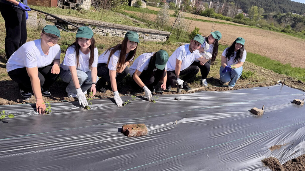 Stevia Doğu Rodoplar’da tütünün alternatifi olabilir