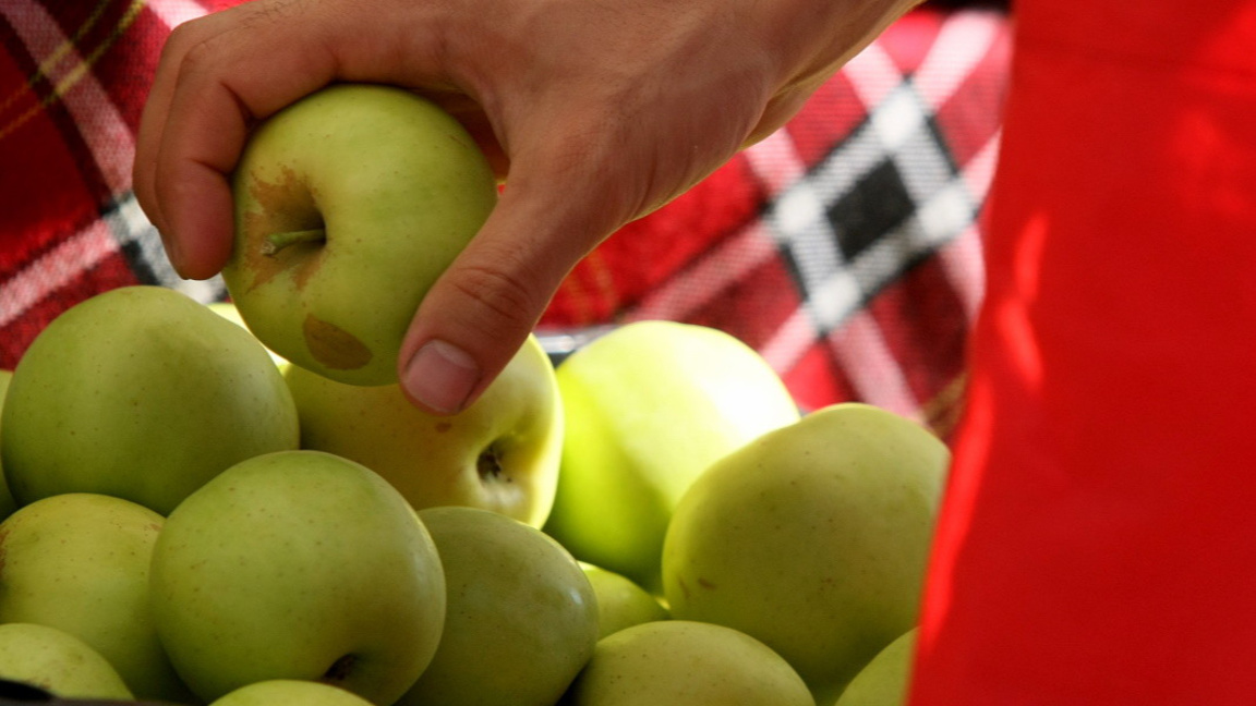 БАБХ проверява вносни плодове и зеленчуци, продавани като български