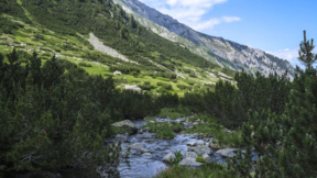 Mes pasurive natyrore dhe sfidave të zhvillimit të qëndrueshëm