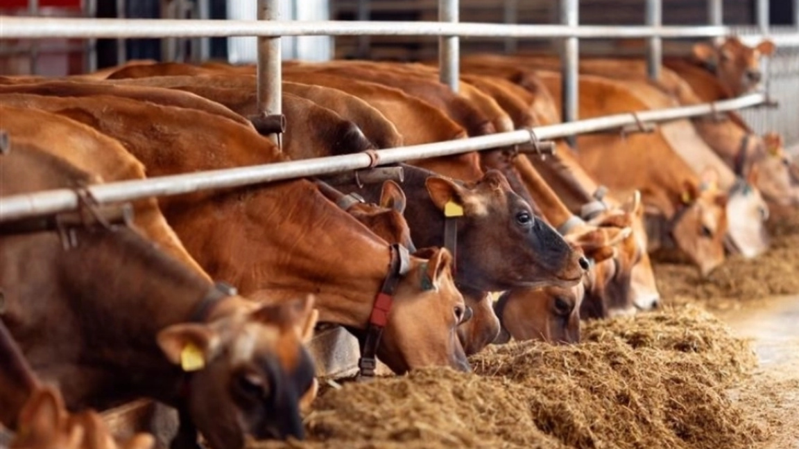 Los agricultores búlgaros esperan recibir ayuda del Estado