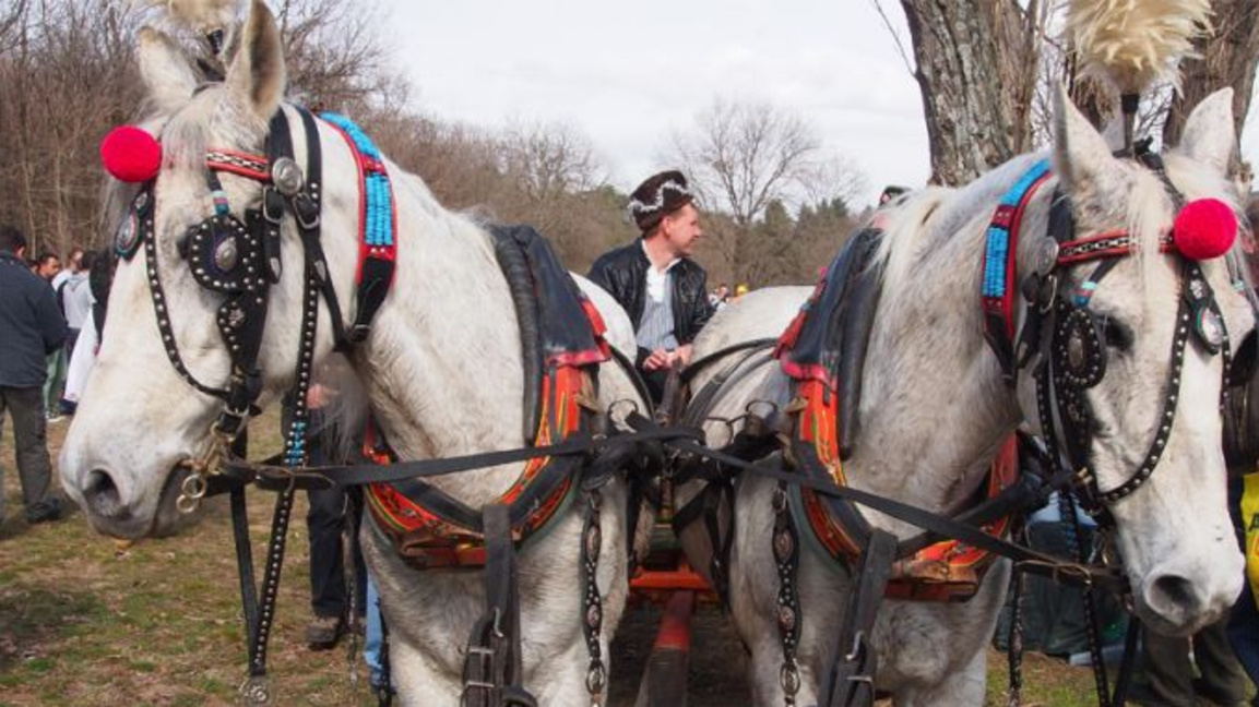 „Јунак Тодор коња поткива…“