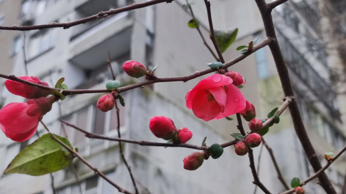 Добро утро с БНР Бургас на 9 март!