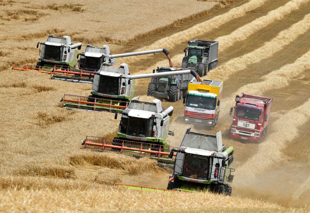 Productores búlgaros, preocupados pese a la cosecha récord de trigo