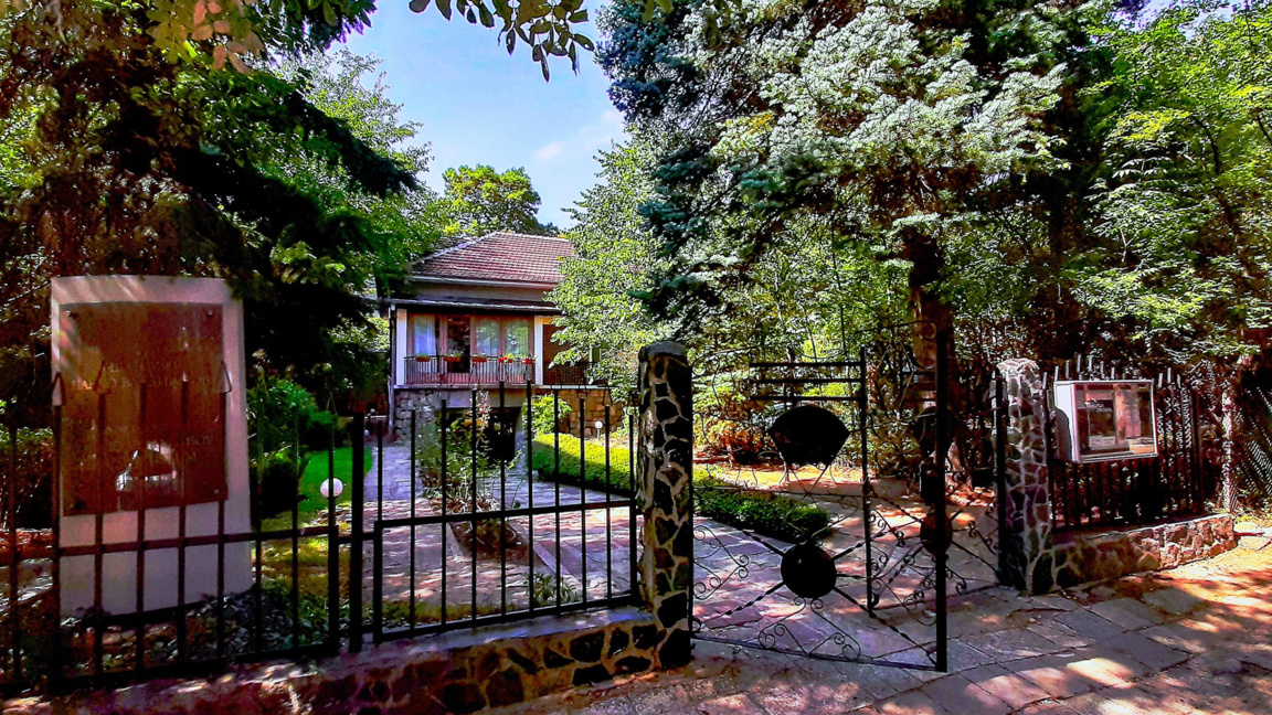 Pancho Vladigerov up close...