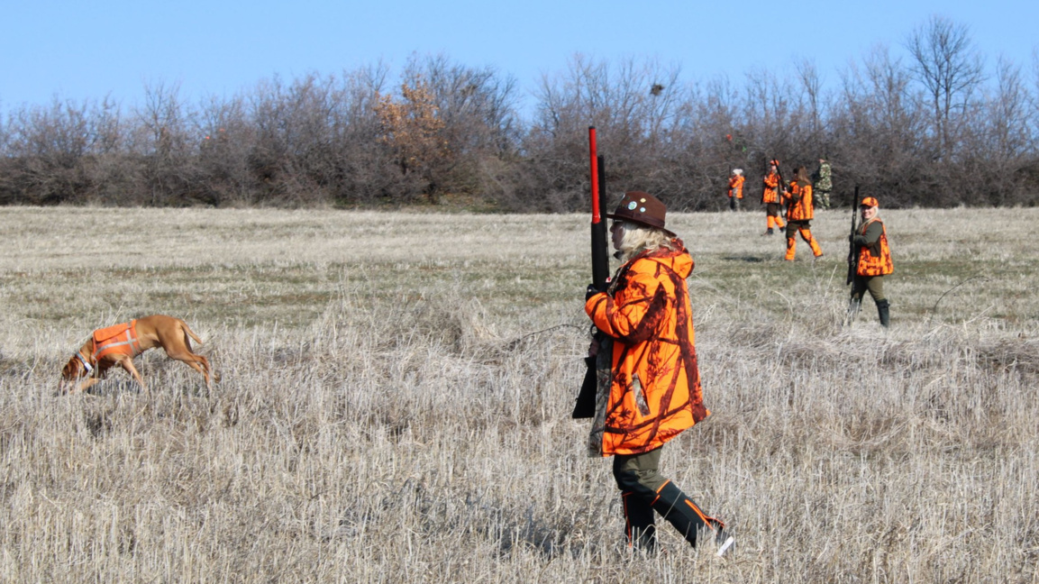 Нежното лице на лова