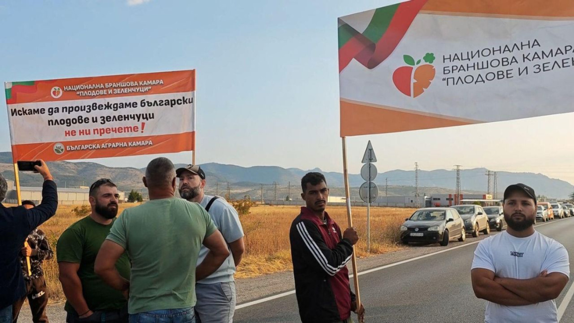 Agricultorii avertizează: Fără o politică de stat, sectorul este în pericol