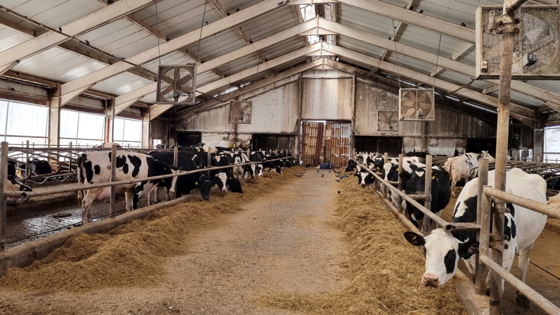 Тржишне дисторзије доводе до затварања фарми млека