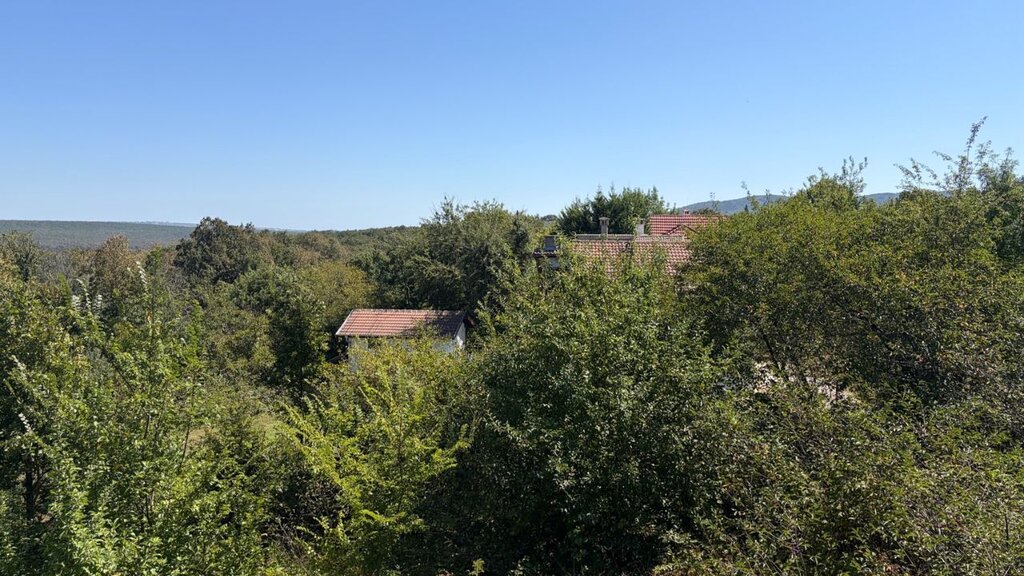 Giderek daha fazla vatandaş ve yabancı kırsal bölgelere yerleşiyor