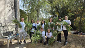 Stevia Doğu Rodoplar’da tütünün alternatifi olabilir