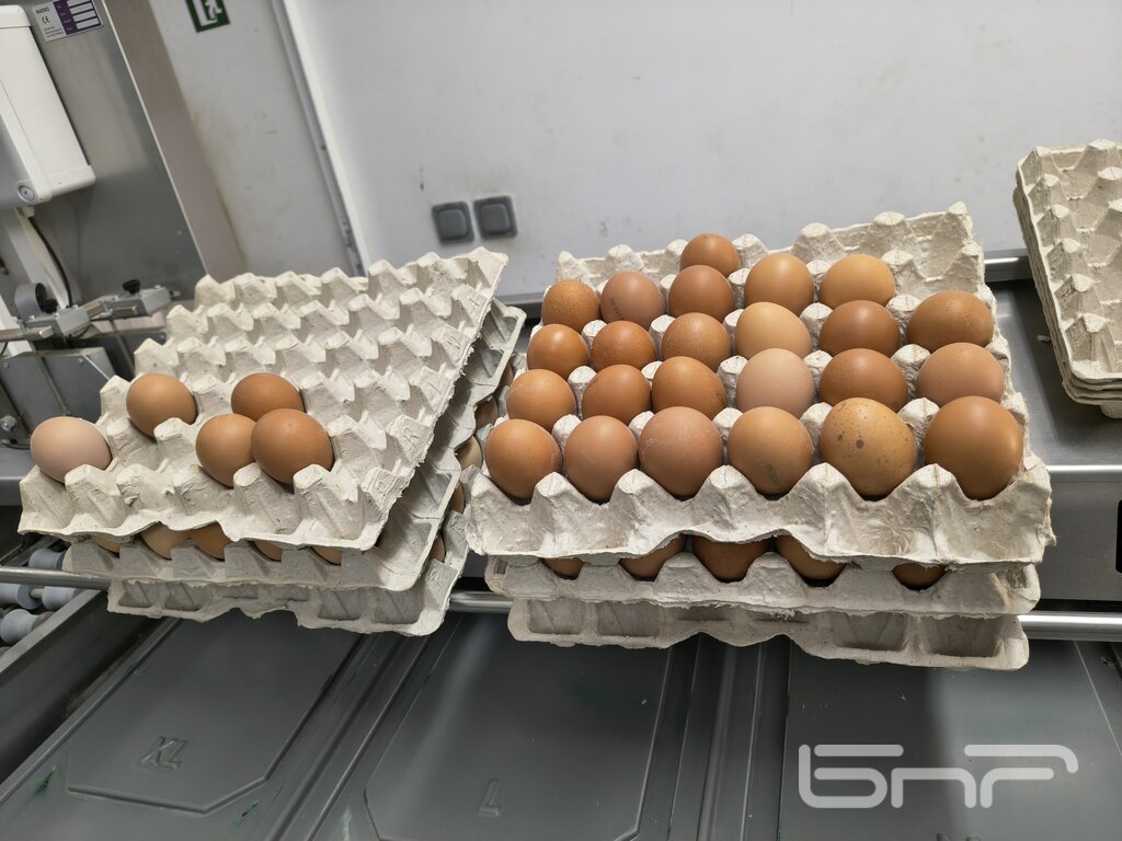 Готовата за продажба продукция на фермата