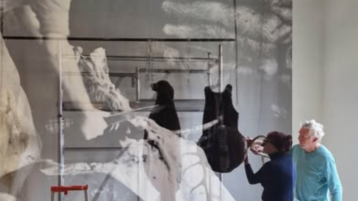 Niki Colliers Werke in der Galerie BeCraft in Mons zu sehen