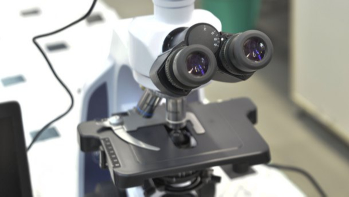 Учени създадоха изкуствена роговица от рибени люспи