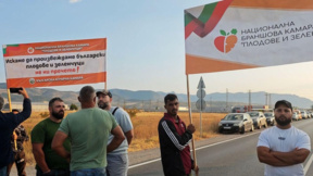Hükümet politikalarının eksikliği sektörün hayatta kalmasını tehdit ediyor