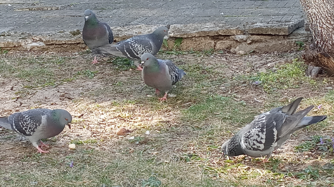 Захлаждане през новата седмица