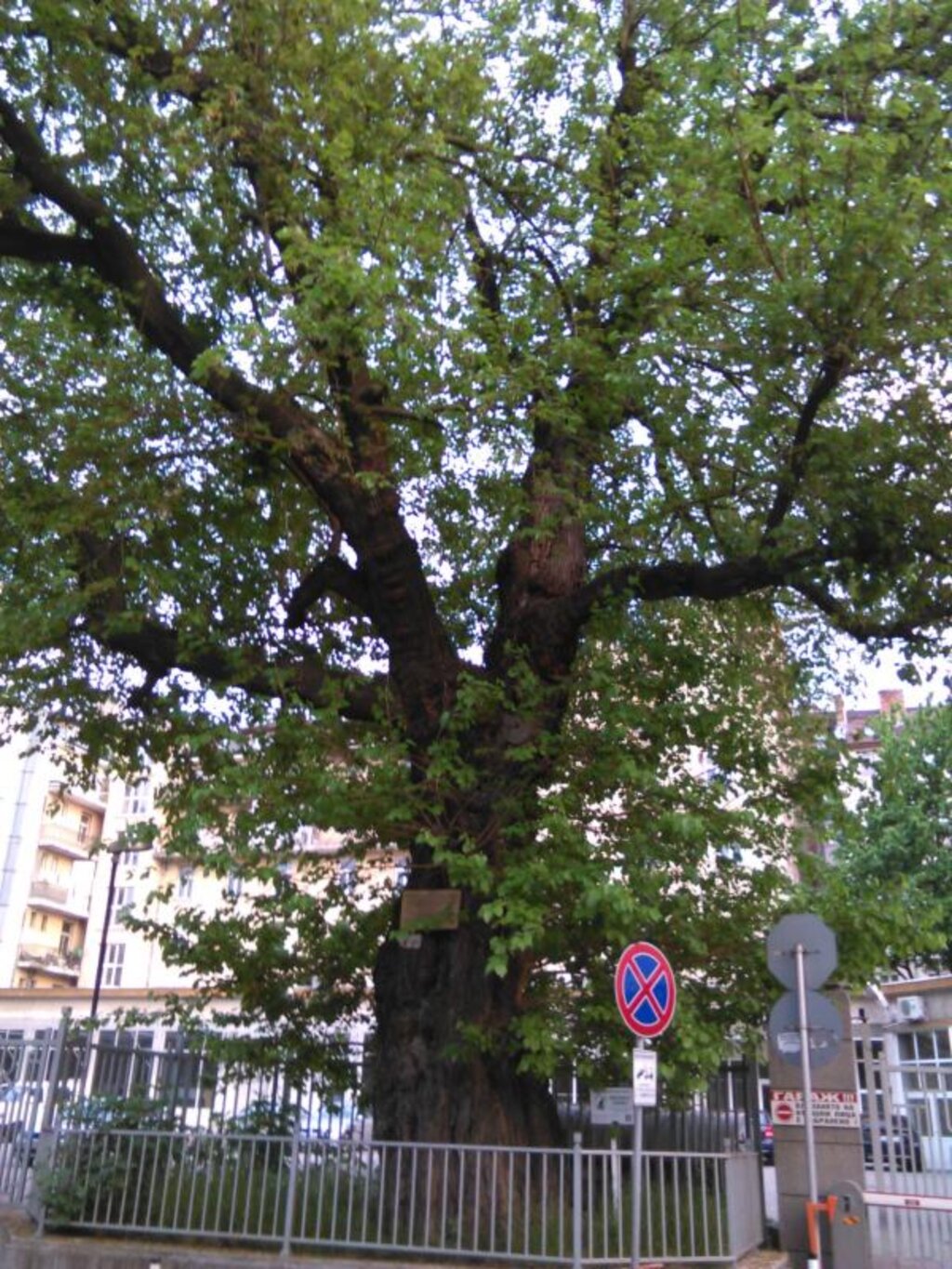 La ville est un être vivant qui raconte des histoires (il suffit de l’écouter)