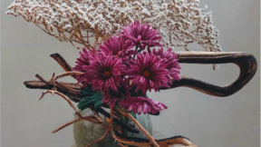 Le chrysanthème à l’honneur dans une exposition d’ikebana à Sofia