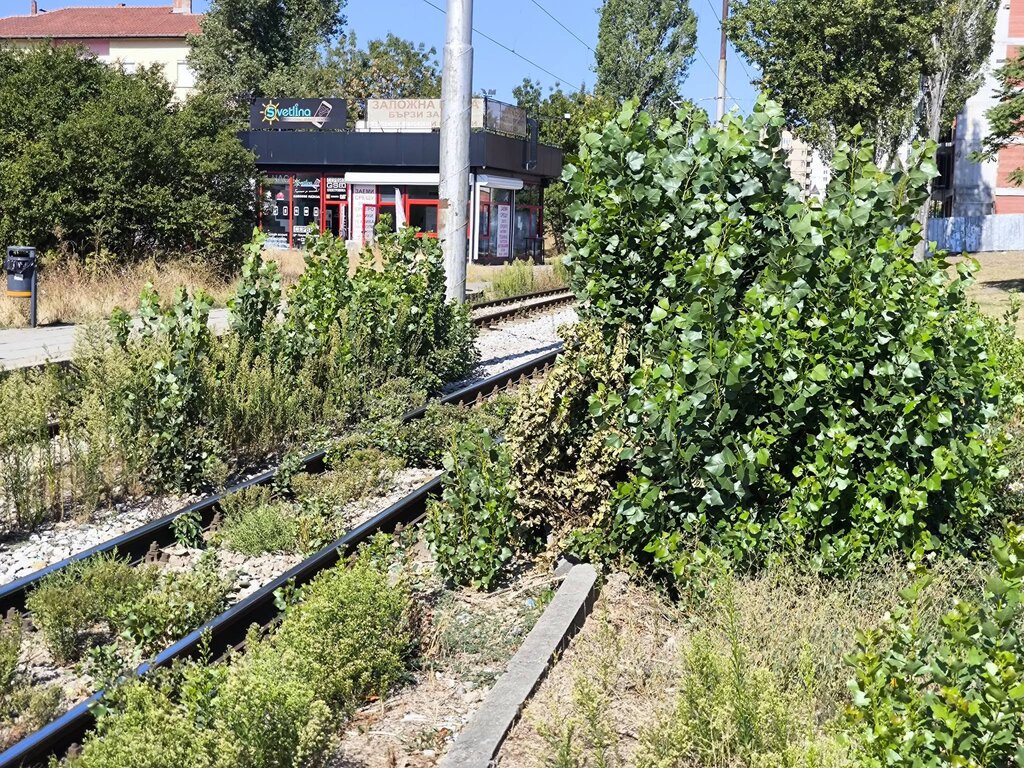 В столичния "Люлин": Вместо зелени трамваи – "гора" върху релсите