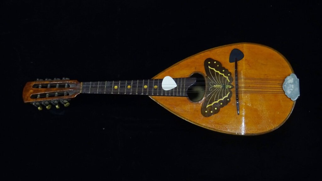 Mandolin orchestras: A 120-year cultural tradition in Bulgaria’s ...