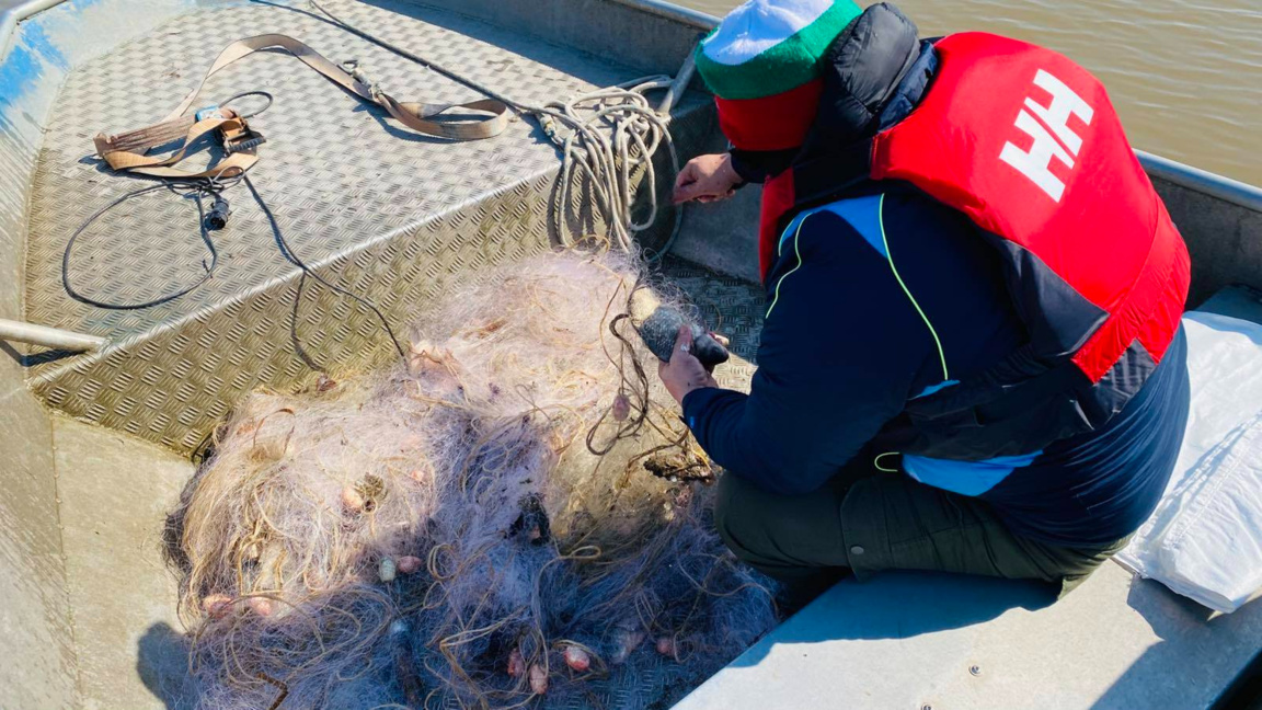 Инспектори на ИАРА иззеха недеклариран калкан в Поморие и мрежи от "Мандра"