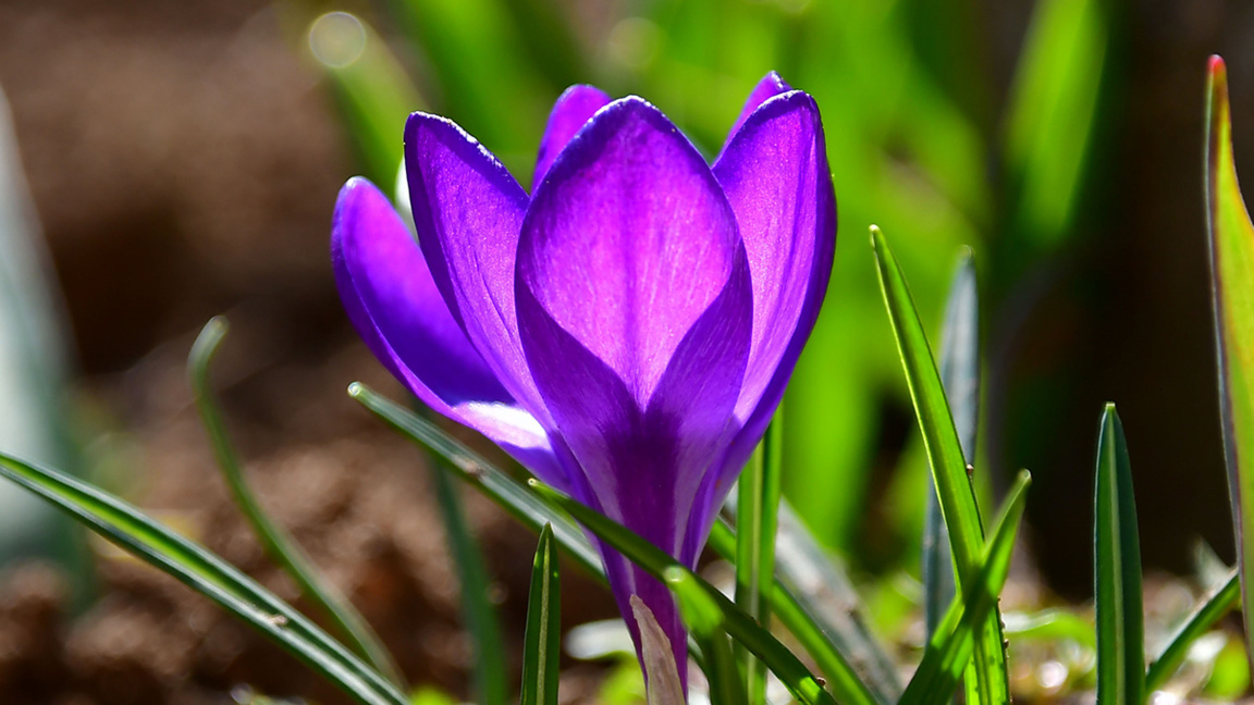 прогноза за времето През деня ще е слънчево