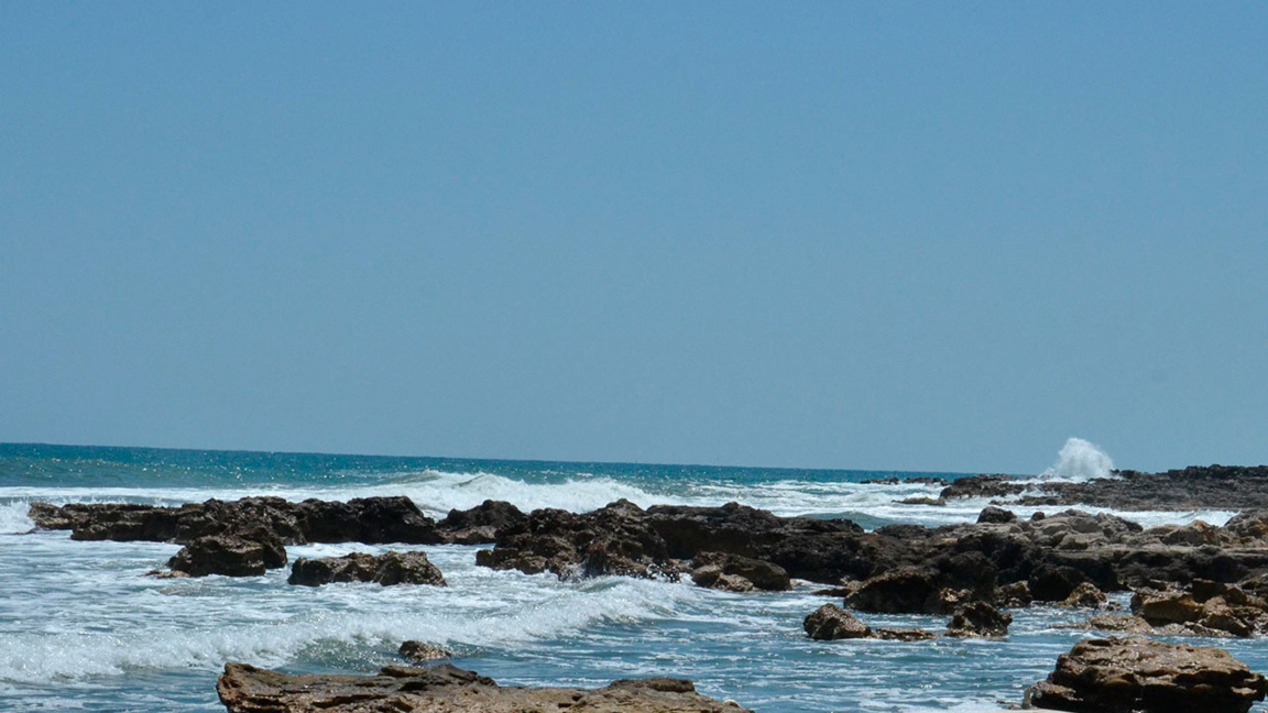 Илиян Коцев: Нужна е дългосрочна политика за развитие на Черно море