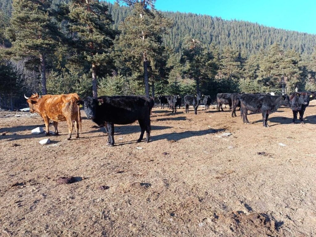 Зимска шетња по Лакатишкој Рили