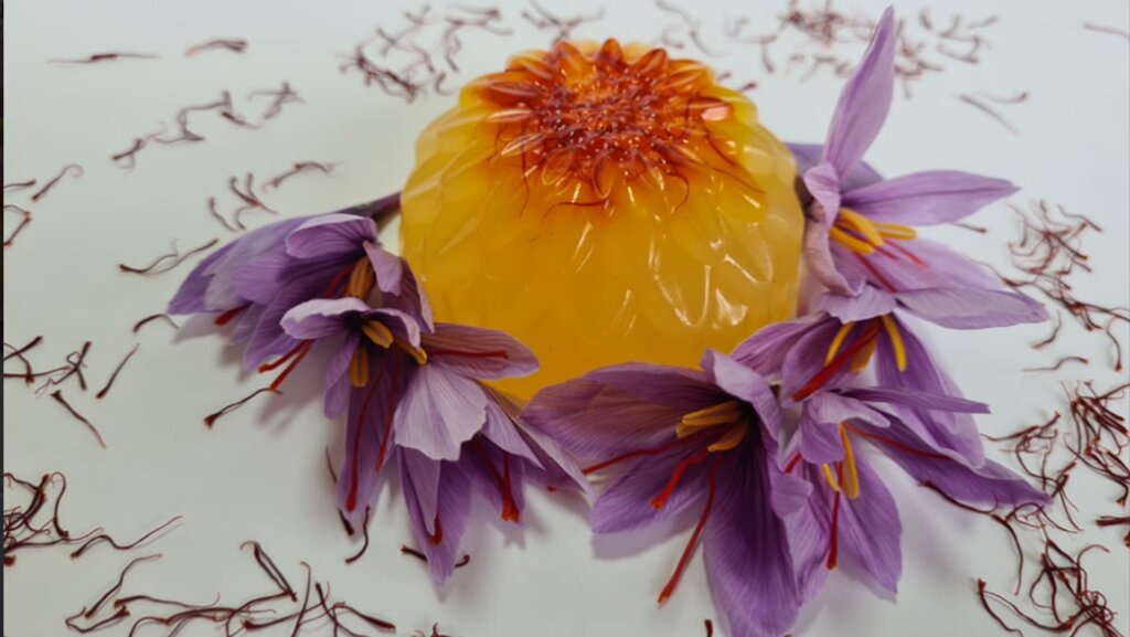 Gabriella Iliéva cultive "la fleur du paradis" près de Vratsa
