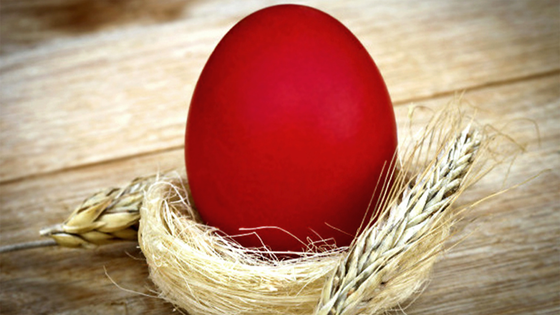 Il était une fois l’œuf 