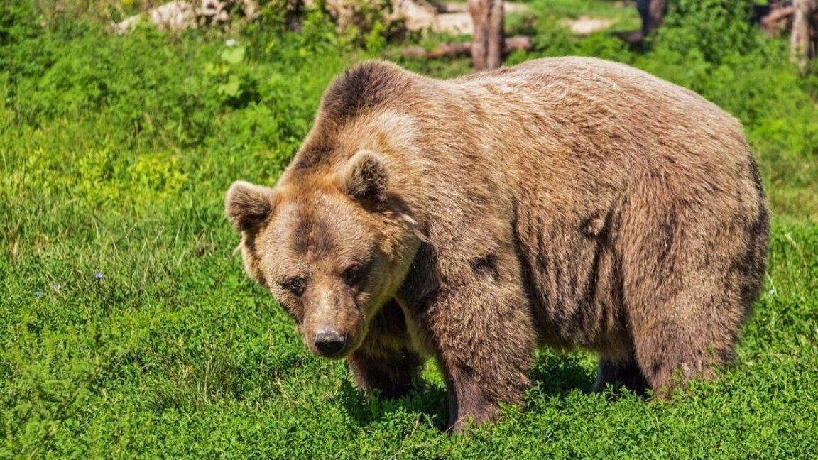Снимката е илюстративна